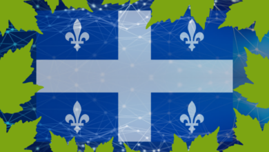 INYULFACE Recommandations du Comité consultatif sur les changements climatiques pour la Stratégie québécoise de la recherche et de l'innovation